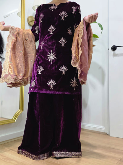 Wine colour Velvet suit